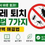 벌레 퇴치 방법